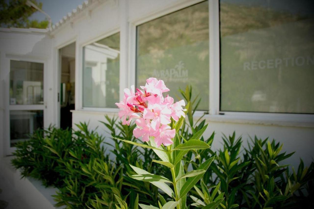 Avra Palm Apart otel Ierápetra Dış mekan fotoğraf