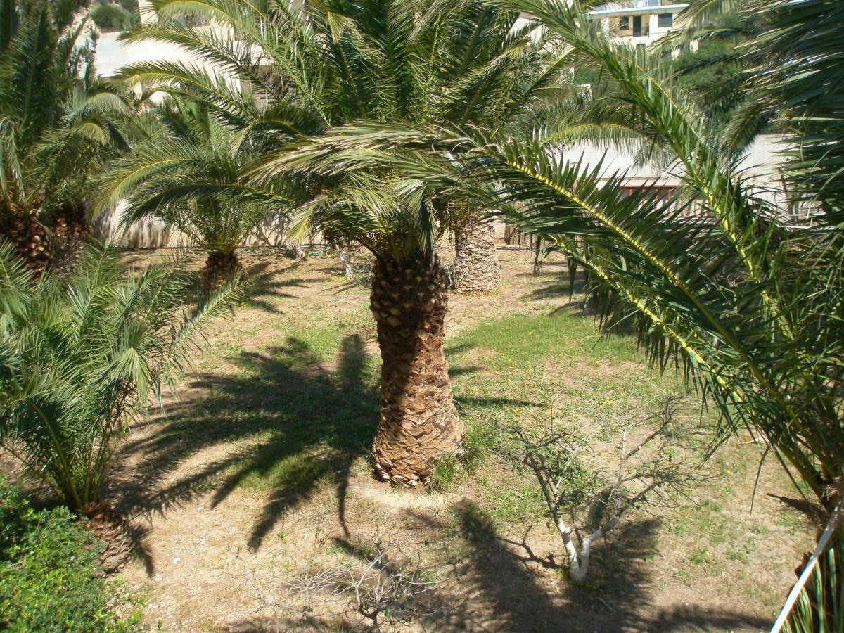 Avra Palm Apart otel Ierápetra Dış mekan fotoğraf