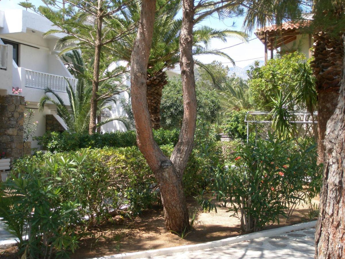 Avra Palm Apart otel Ierápetra Dış mekan fotoğraf
