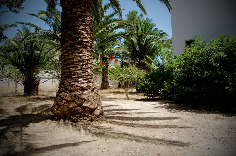 Avra Palm Apart otel Ierápetra Dış mekan fotoğraf