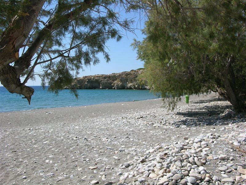 Avra Palm Apart otel Ierápetra Dış mekan fotoğraf