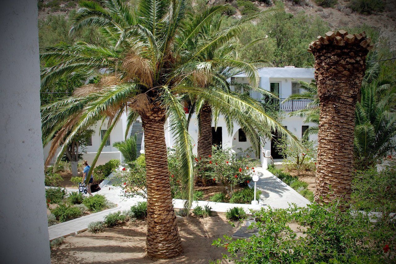 Avra Palm Apart otel Ierápetra Dış mekan fotoğraf